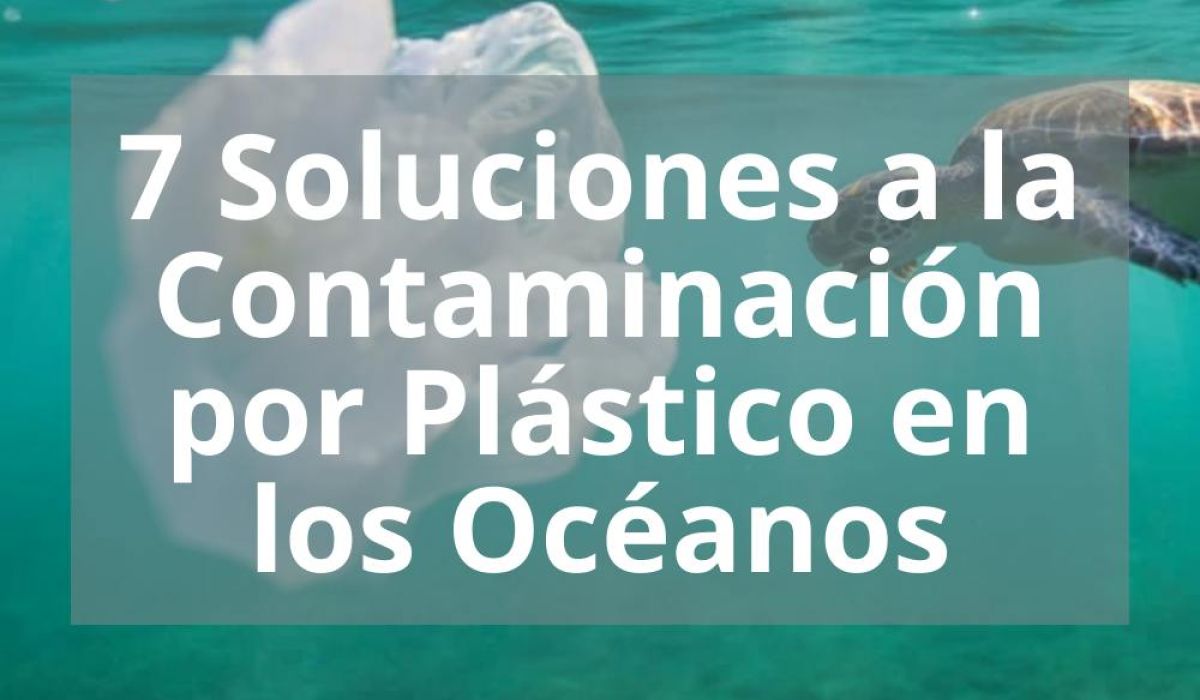 7 SOLUCIONES A LA CONTAMINACIÓN POR PLÁSTICO EN LOS OCÉANOS