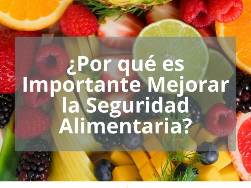 ¿POR QUÉ ES IMPORTANTE MEJORAR LA SEGURIDAD ALIMENTARIA?