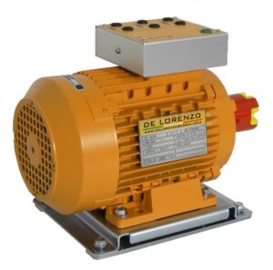 SQUIRREL CAGE THREE PHASE ASYNCHRONOUS MOTOR