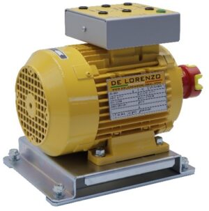 THREE-PHASE 2-SPEED SQUIRREL CAGE ASYNCHRONOUS MOTOR