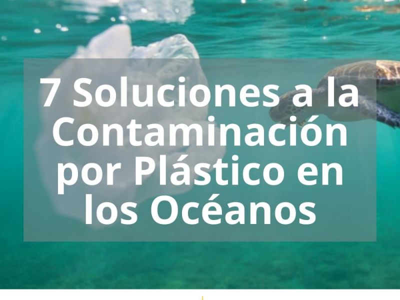 7 SOLUCIONES A LA CONTAMINACIÓN POR PLÁSTICO EN LOS OCÉANOS