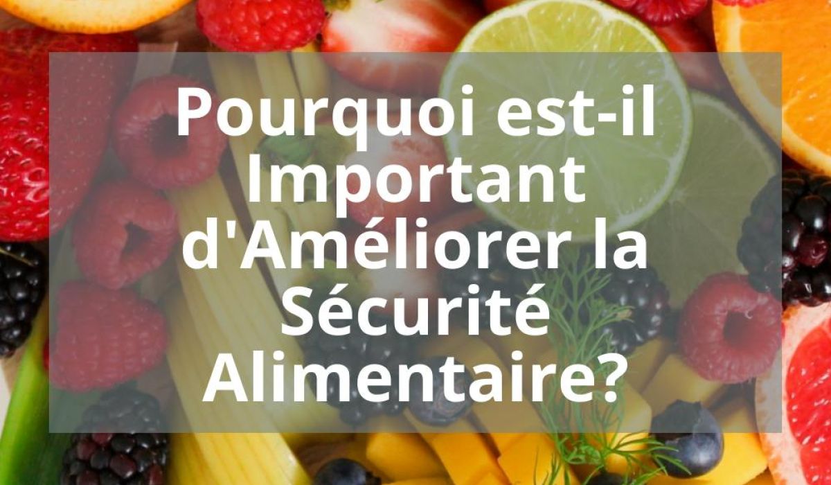 POURQUOI EST-IL IMPORTANT D&rsquo;AMELIORER LA SECURITE ALIMENTAIRE?