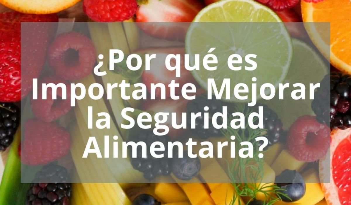¿POR QUÉ ES IMPORTANTE MEJORAR LA SEGURIDAD ALIMENTARIA?