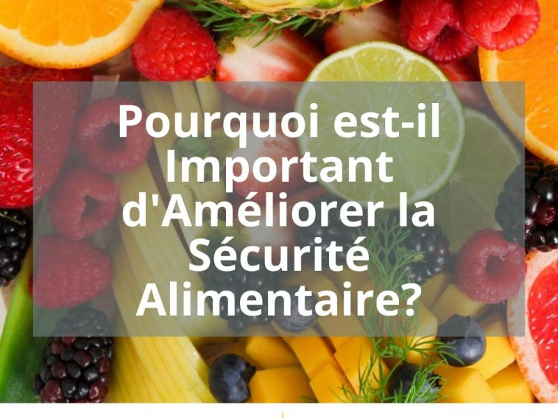 POURQUOI EST-IL IMPORTANT D’AMELIORER LA SECURITE ALIMENTAIRE?